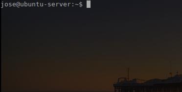 Starting a fresh server session